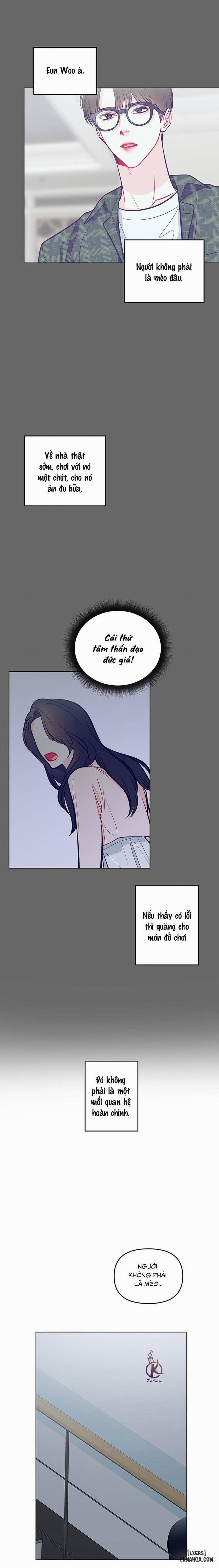 Quỹ đạo của vì sao 50 trang 13