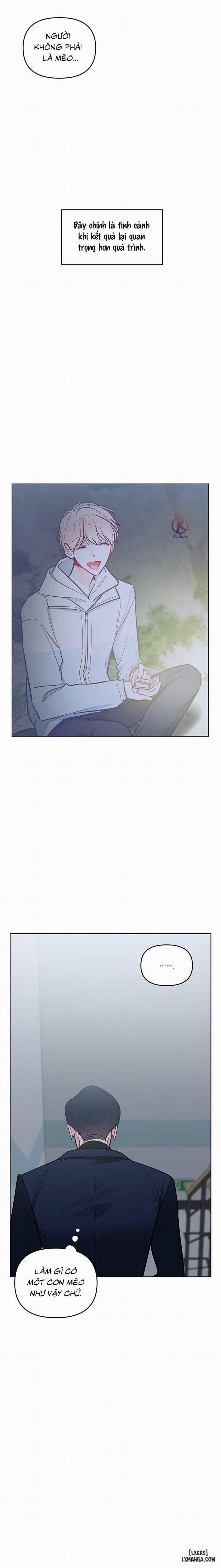 Quỹ đạo của vì sao 50 trang 14