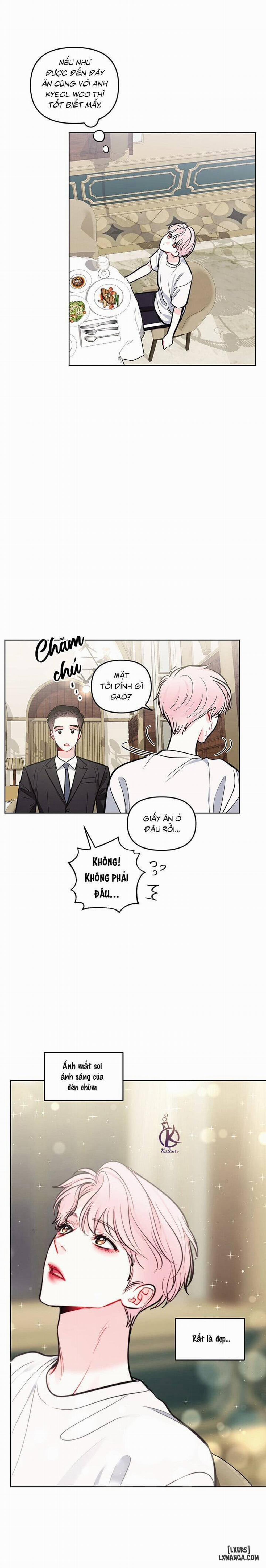 Quỹ đạo của vì sao 51 trang 13