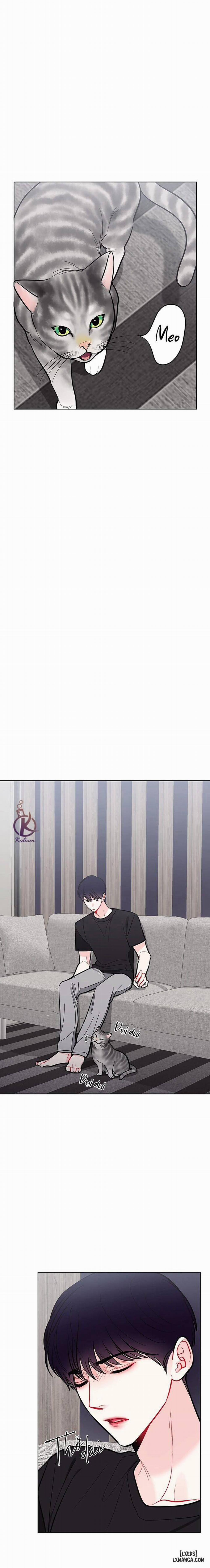 Quỹ đạo của vì sao 54 trang 4