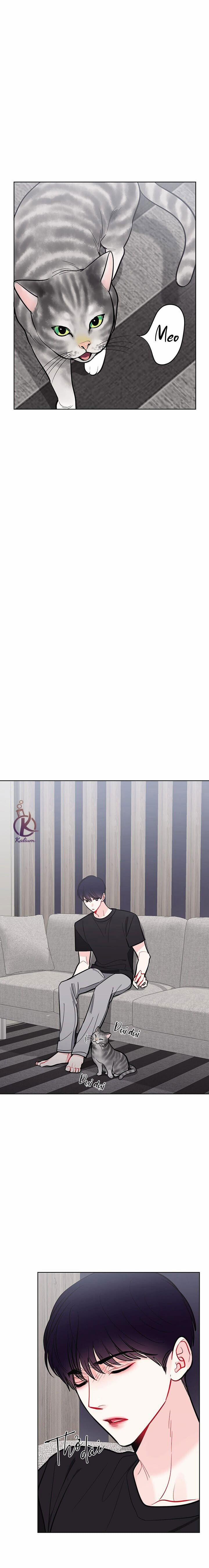 Quỹ đạo của vì sao 64 trang 4