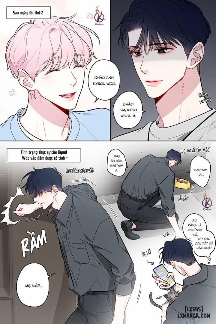 Quỹ đạo của vì sao Oneshot 1 trang 1