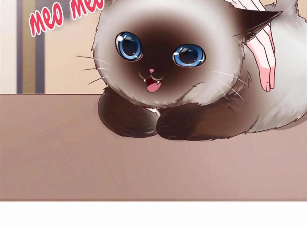 Quyến Rũ Không Thành 10 trang 34