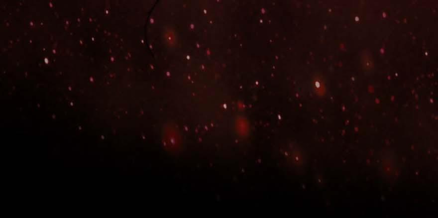 Quyến Rũ Không Thành 28 trang 22