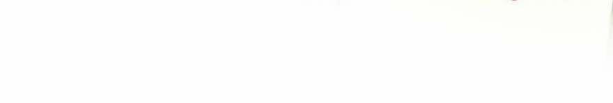 Quyến Rũ Không Thành 29 trang 6