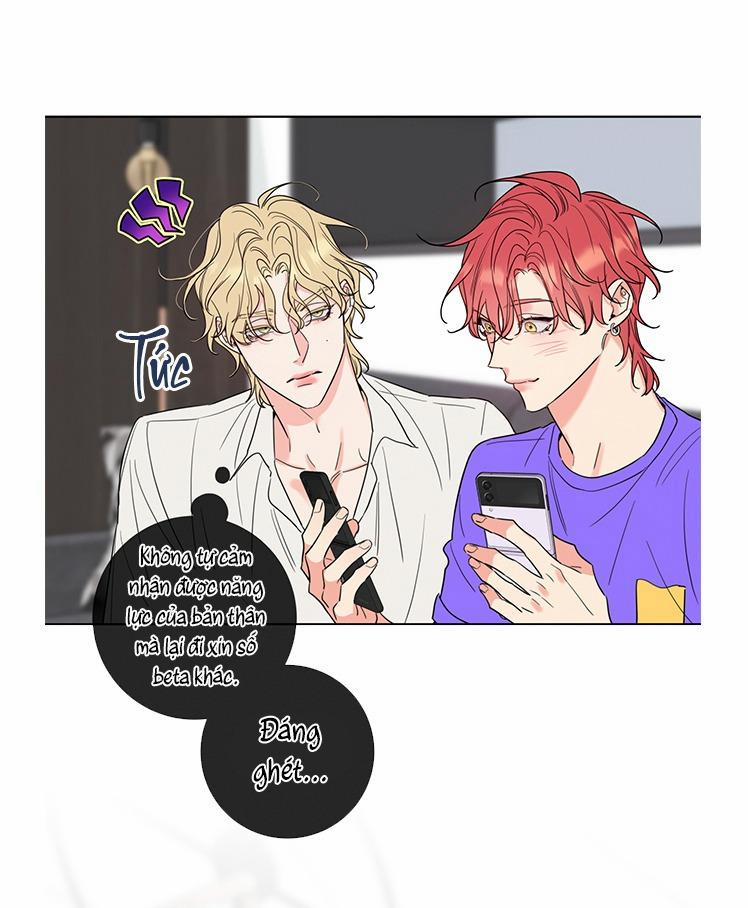 Rắc rối đường mật 0 trang 8