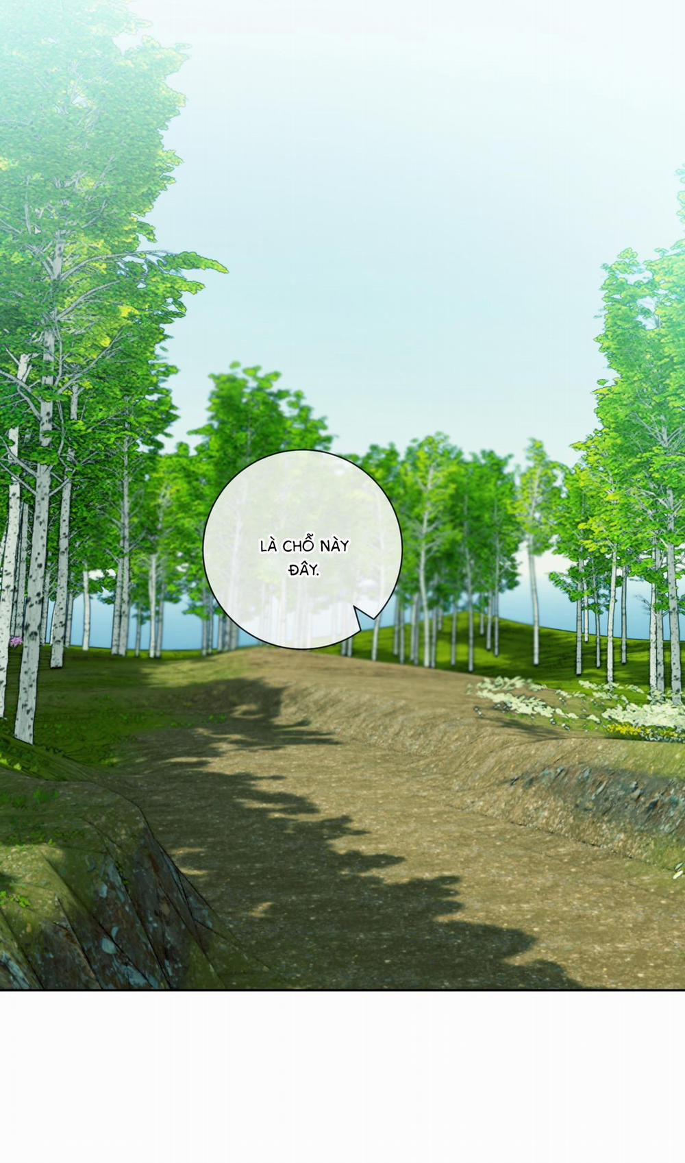 Rắc rối đường mật 13 trang 39