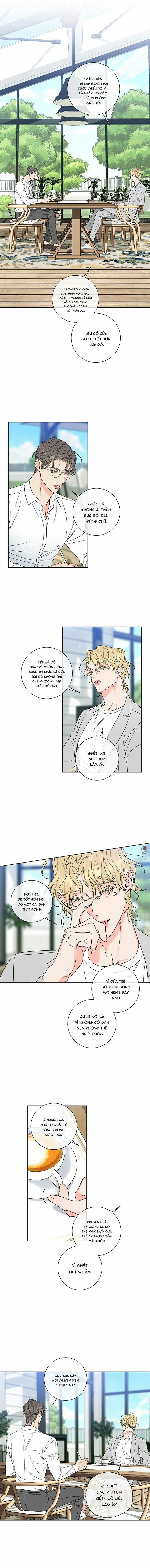 Rắc Rối Mật Ngọt 13 trang 5