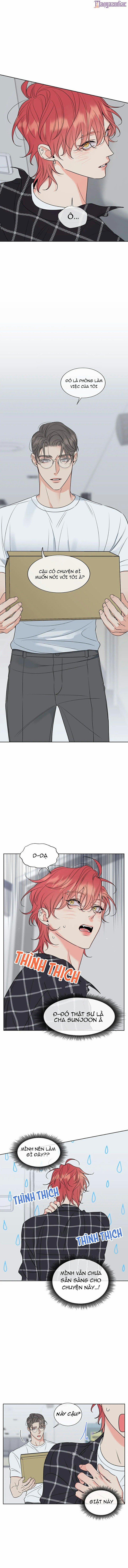 Rắc Rối Mật Ngọt 15 trang 0