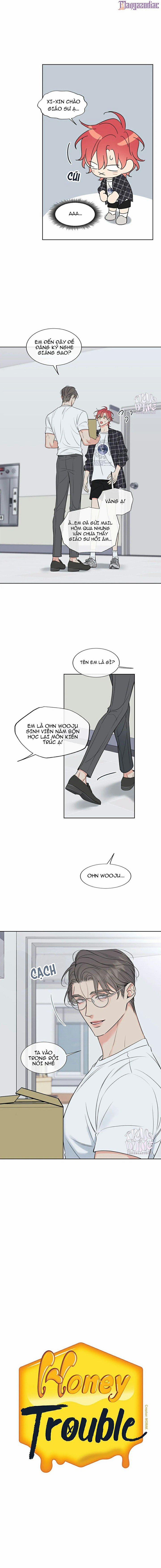 Rắc Rối Mật Ngọt 15 trang 1