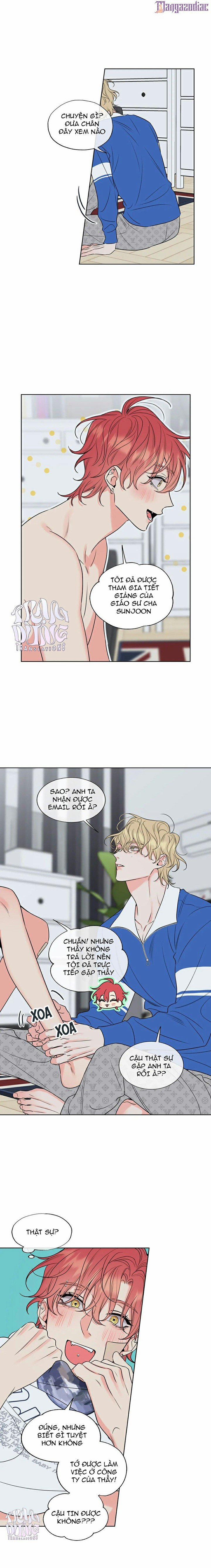 Rắc Rối Mật Ngọt 15 trang 9