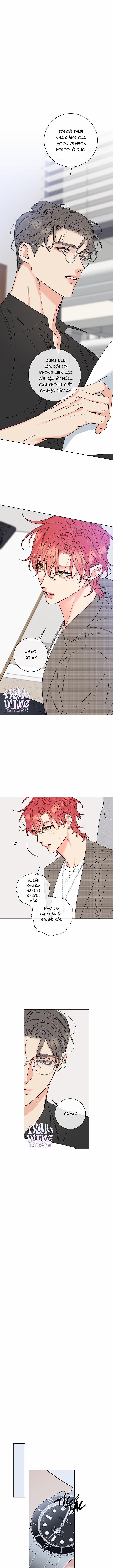 Rắc Rối Mật Ngọt 19 trang 0