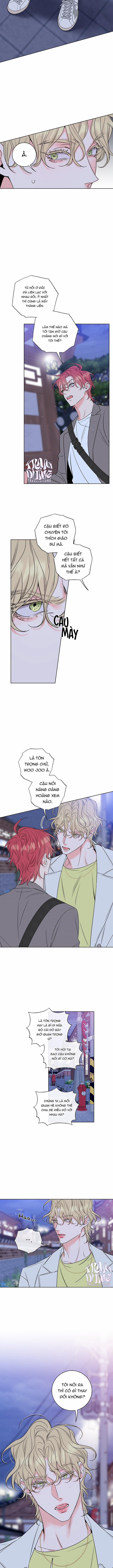 Rắc Rối Mật Ngọt 19 trang 7