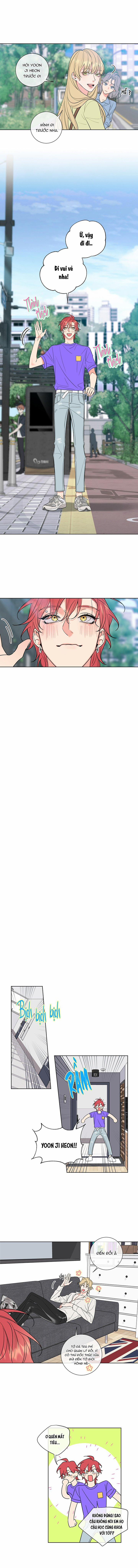 Rắc Rối Mật Ngọt 2 trang 7