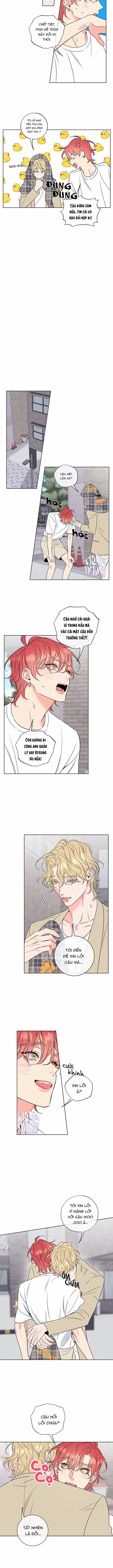 Rắc Rối Mật Ngọt 20 trang 3