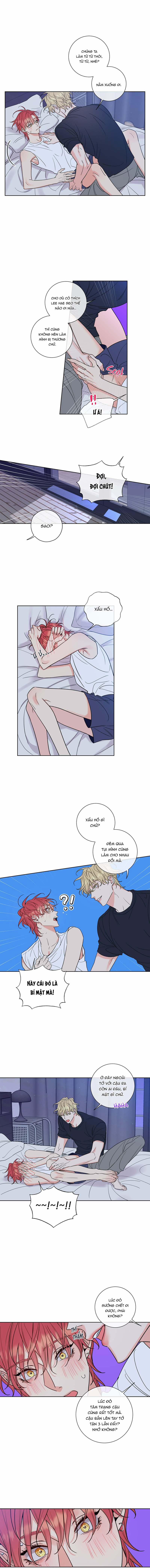 Rắc Rối Mật Ngọt 4 trang 7