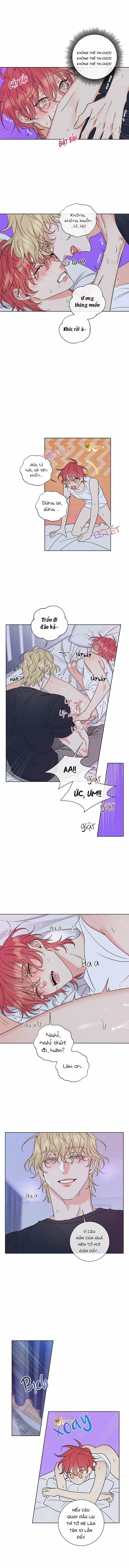 Rắc Rối Mật Ngọt 5 trang 4