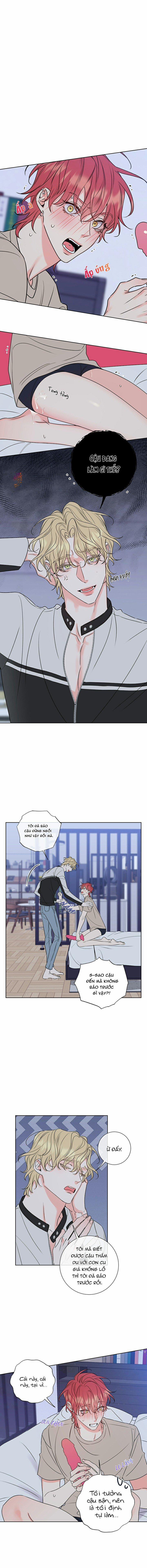 Rắc Rối Mật Ngọt 8 trang 0