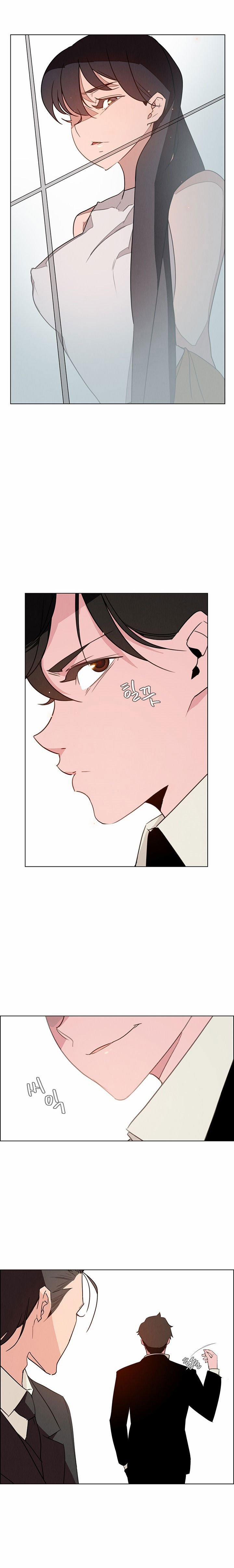 Rain Curtain 31 trang 6