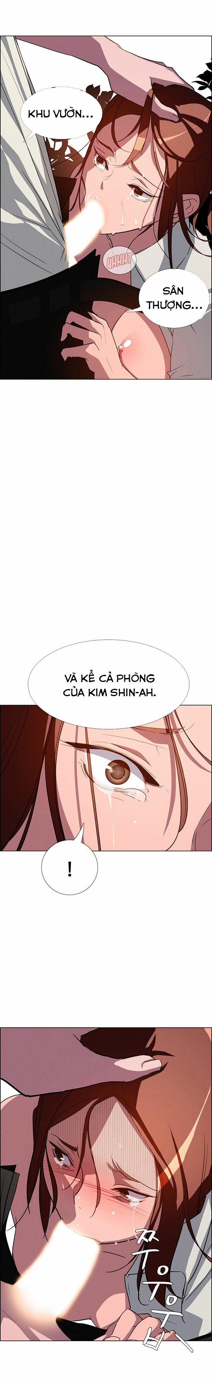 Rain Curtain 6 trang 20