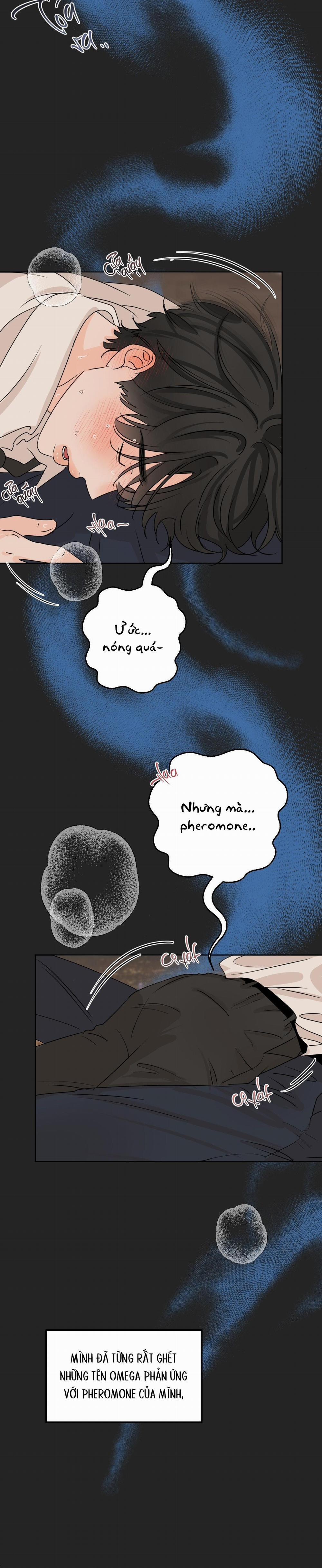 Ranh Giới Của Mùi Hương 31 trang 11