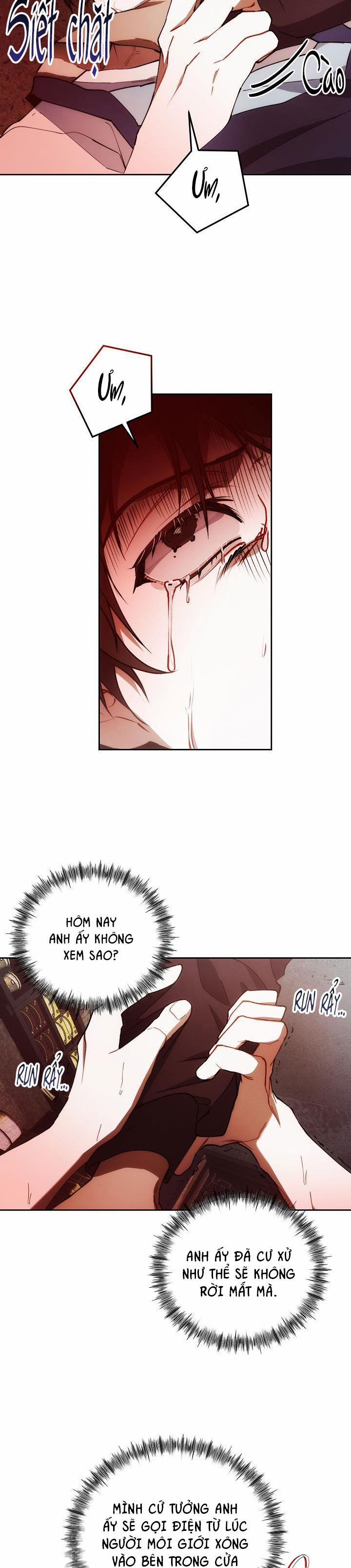 Red Mansion 27 END SS1 trang 14