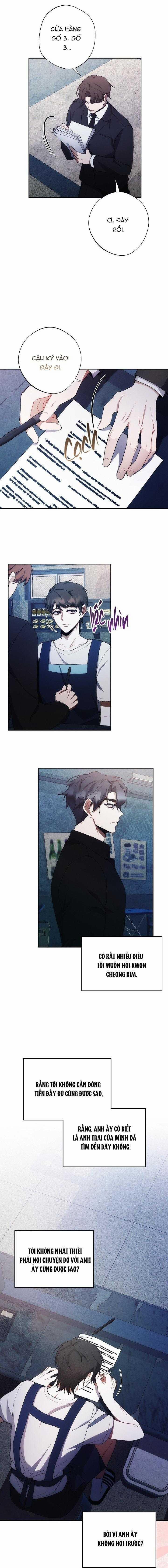 Red Mansion 30 trang 1