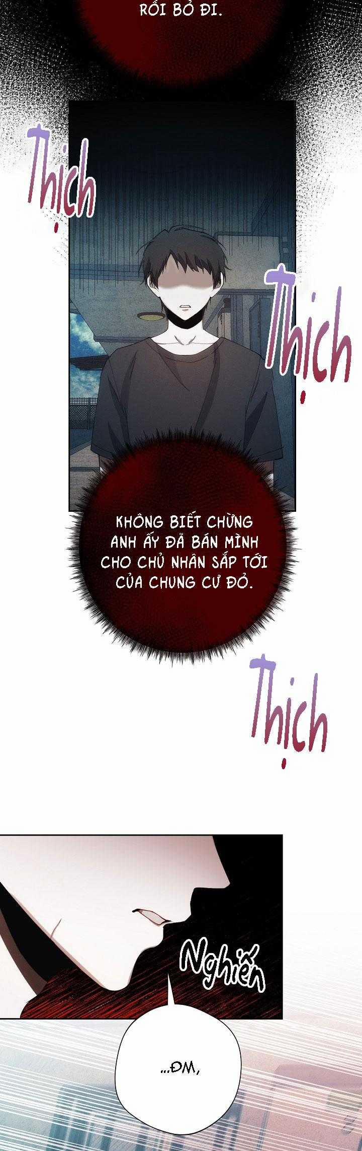 Red Mansion 37 trang 22