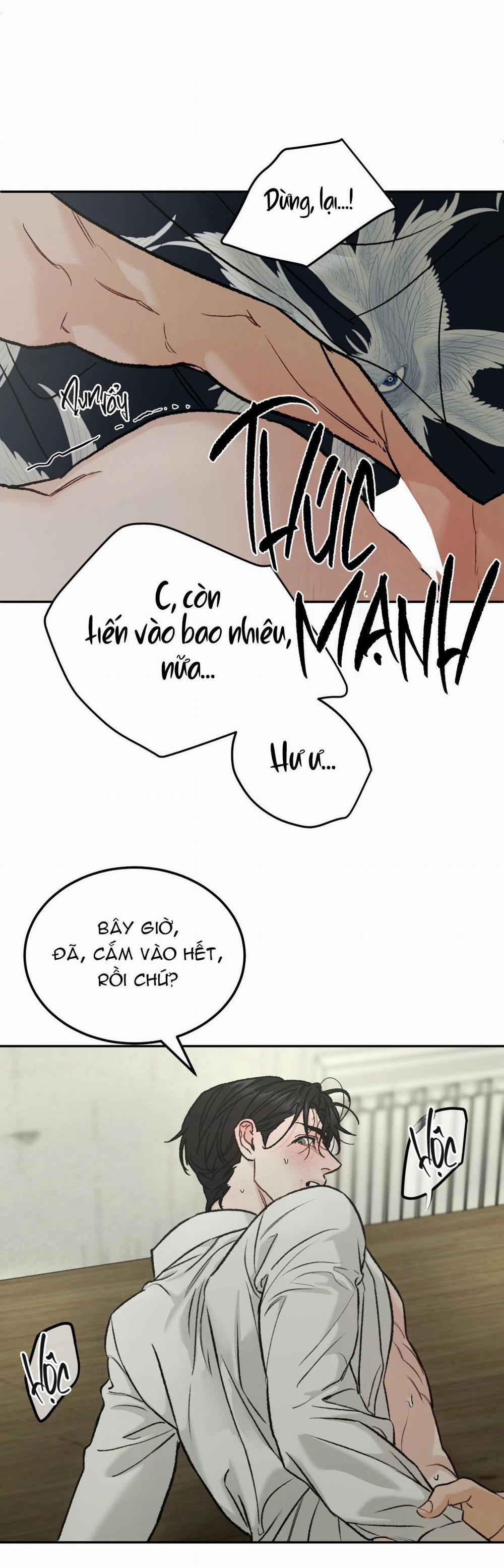 Relay Ss 4.6 nguyên tắc end trang 9