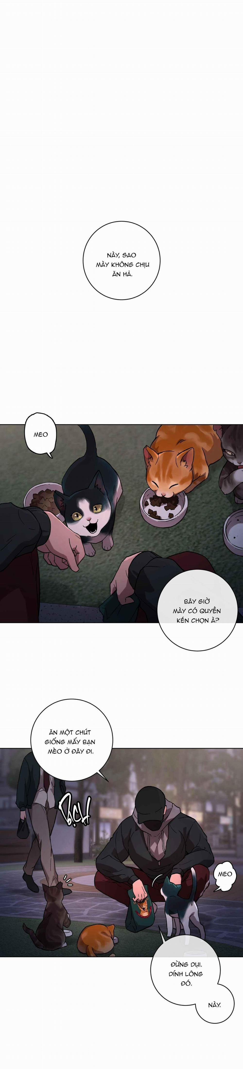 Release Your Persona 1 trang 0