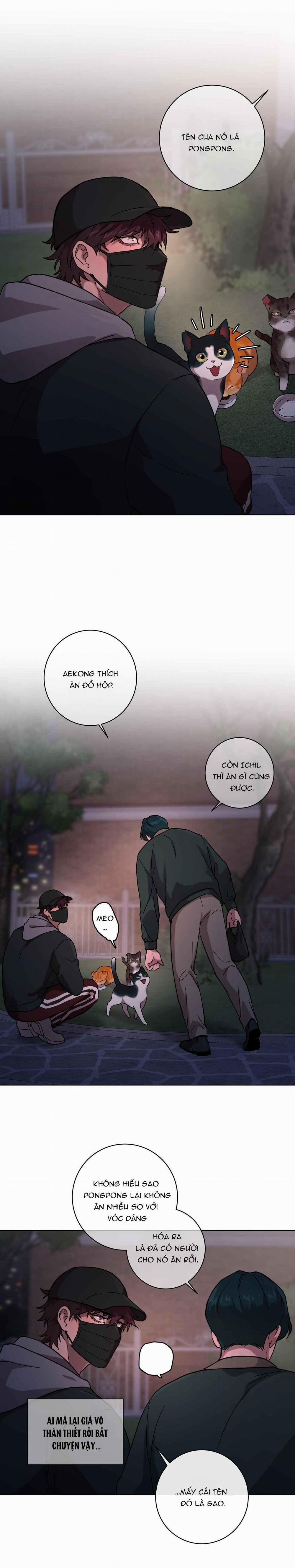 Release Your Persona 1 trang 1