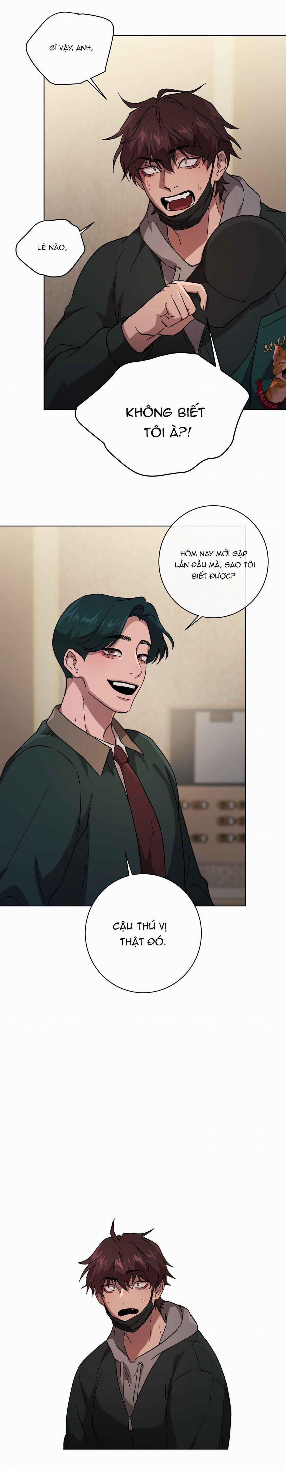 Release Your Persona 1 trang 10