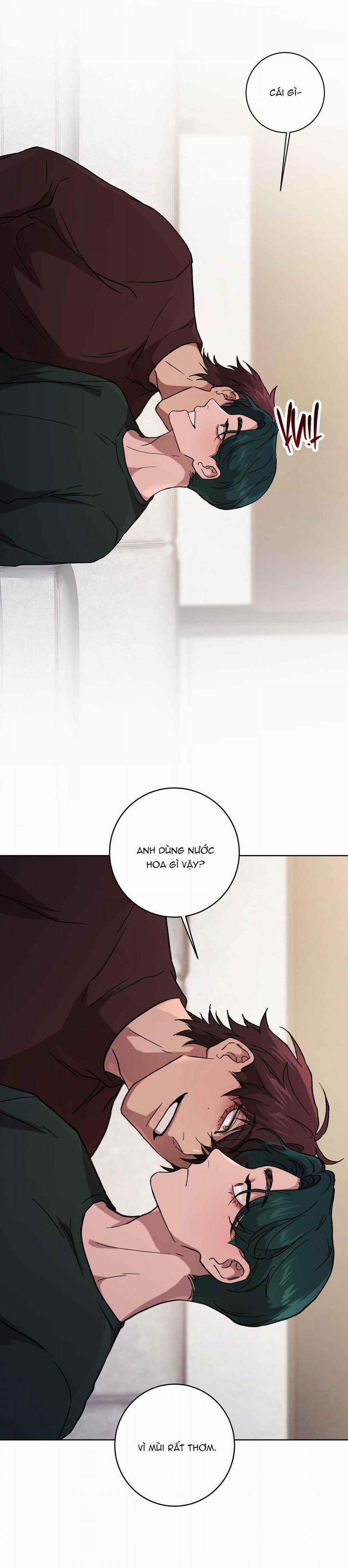 Release Your Persona 2 trang 29