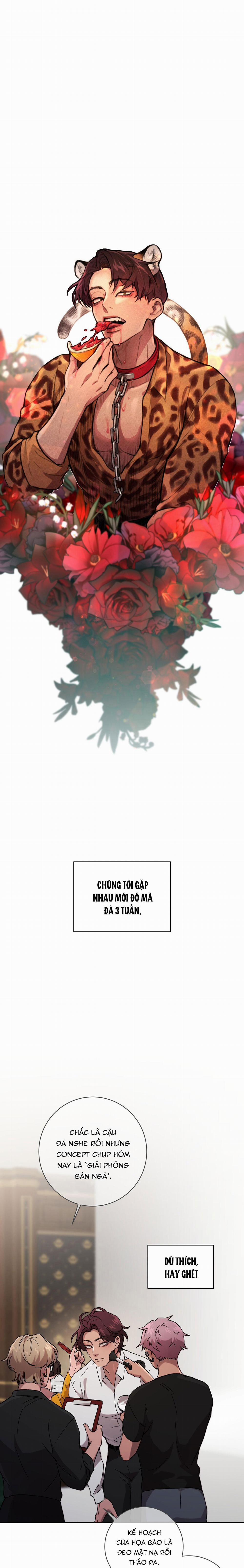 Release Your Persona 4 trang 1