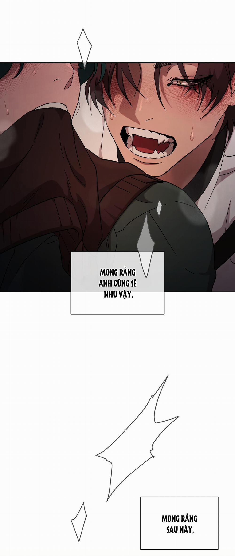 Release Your Persona 5 trang 28