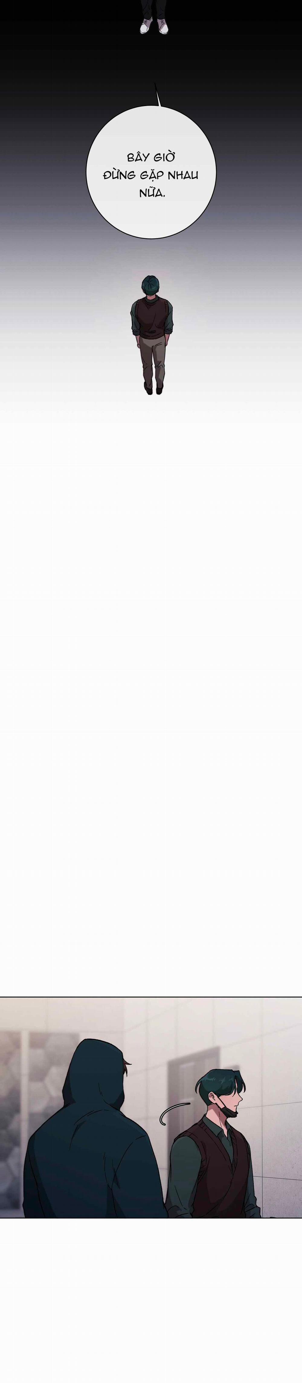 Release Your Persona 6 trang 1