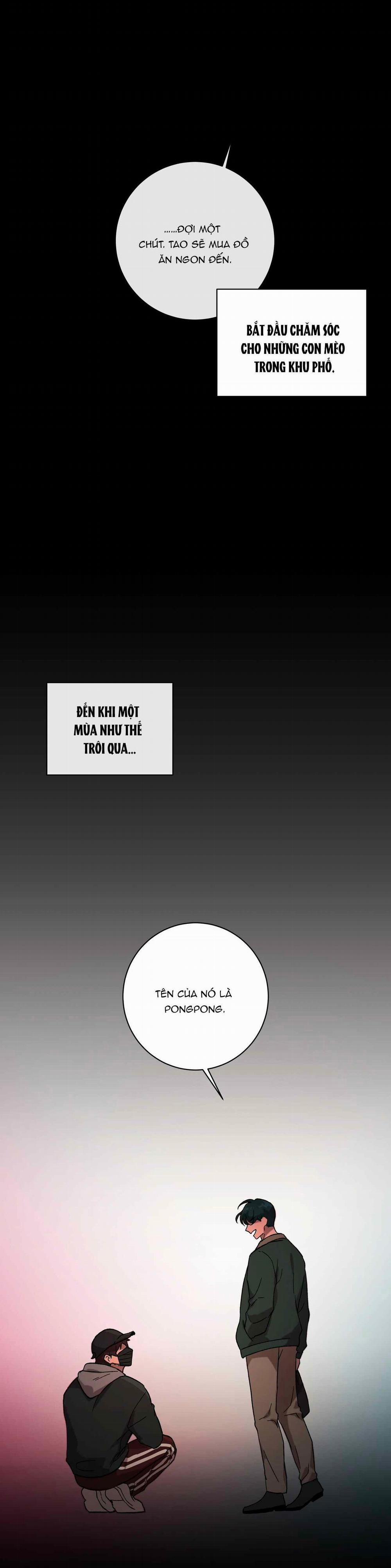 Release Your Persona 7 trang 8