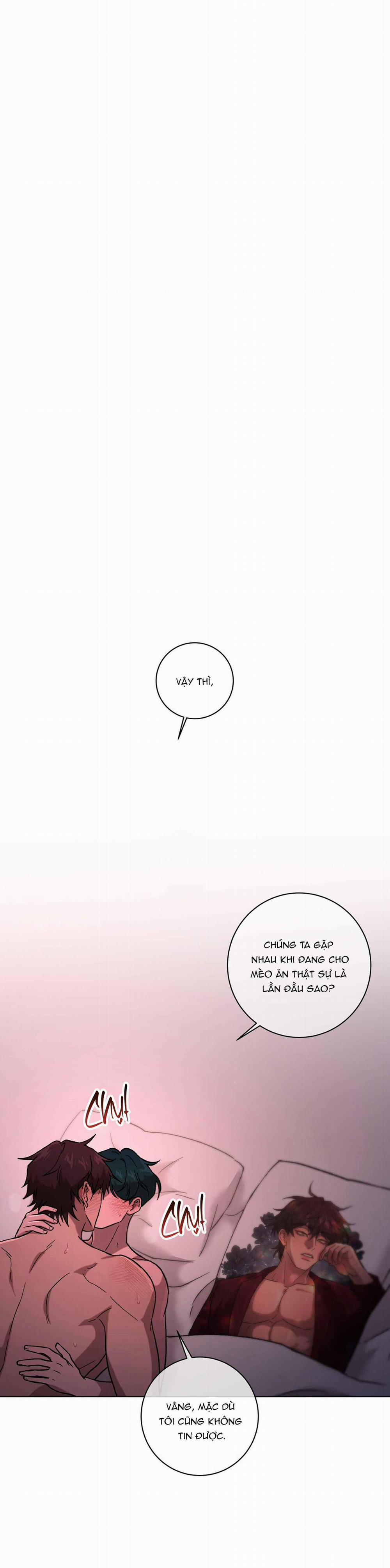 Release Your Persona 8 trang 0