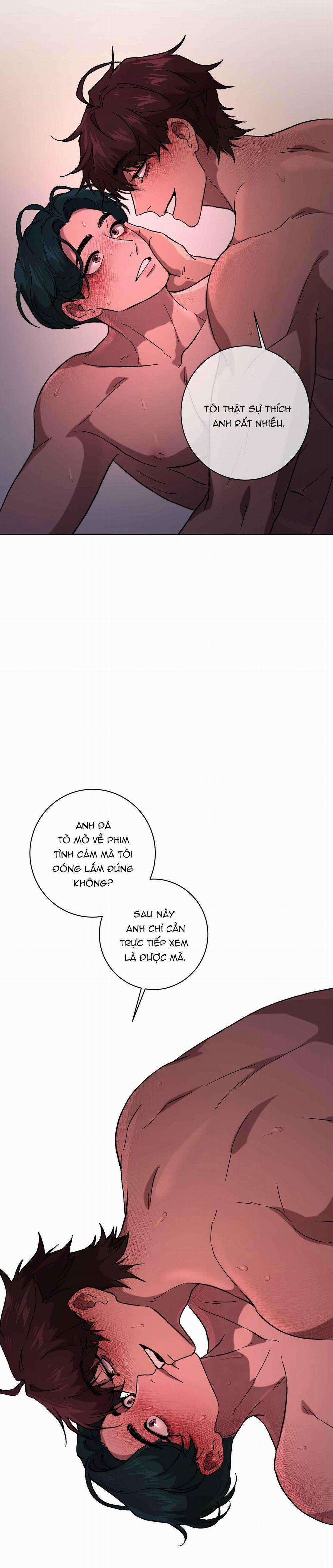 Release Your Persona 8 trang 21