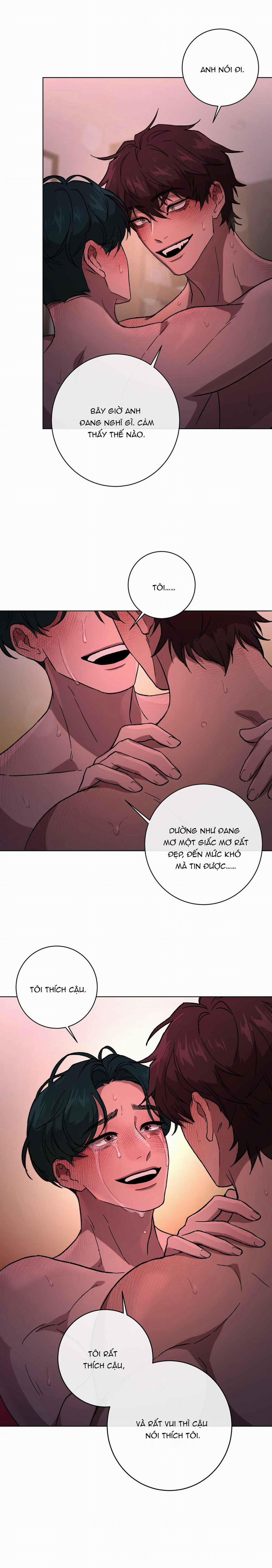 Release Your Persona 8 trang 31