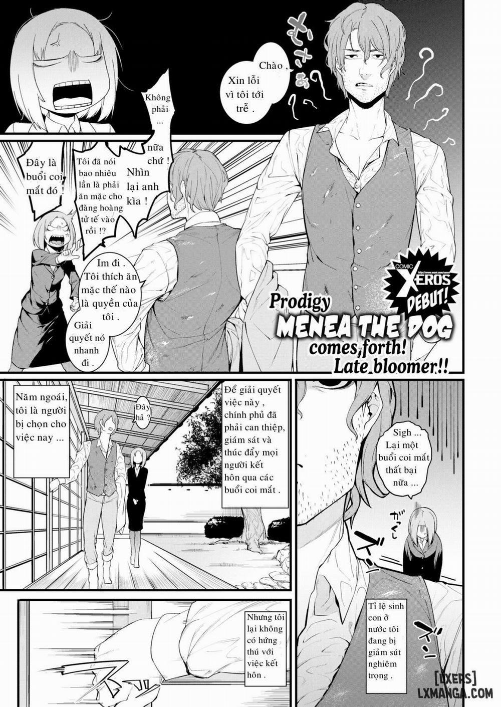 Remnants Bring Good Fortune Oneshot trang 0