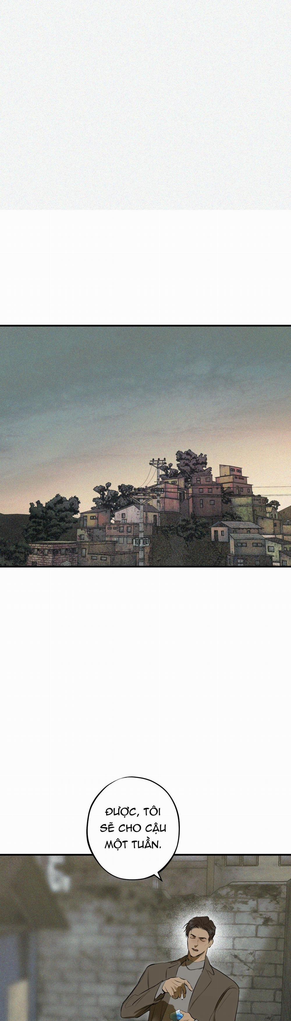 Risky Vice 1 trang 17