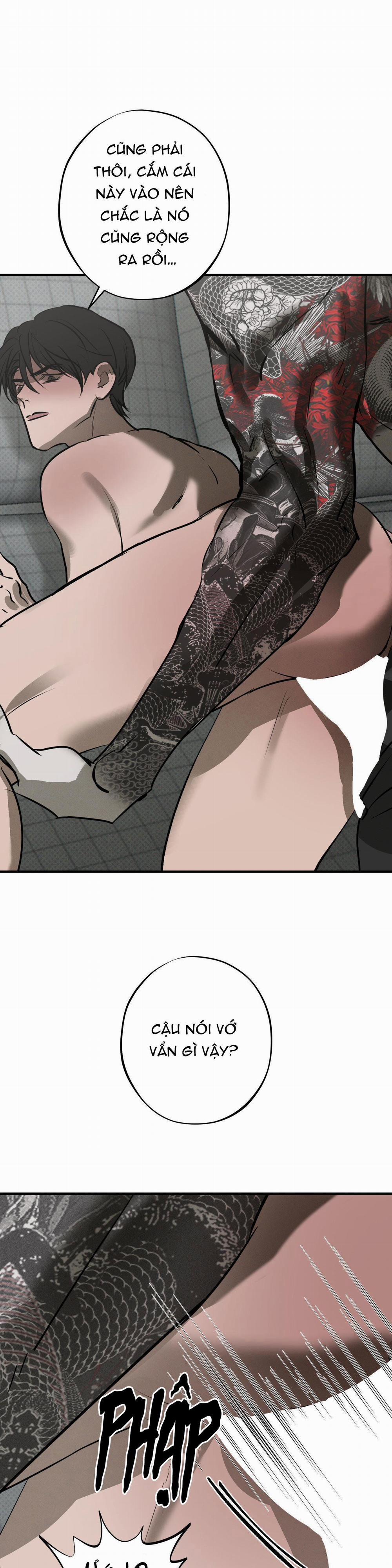 Risky Vice 10 trang 13