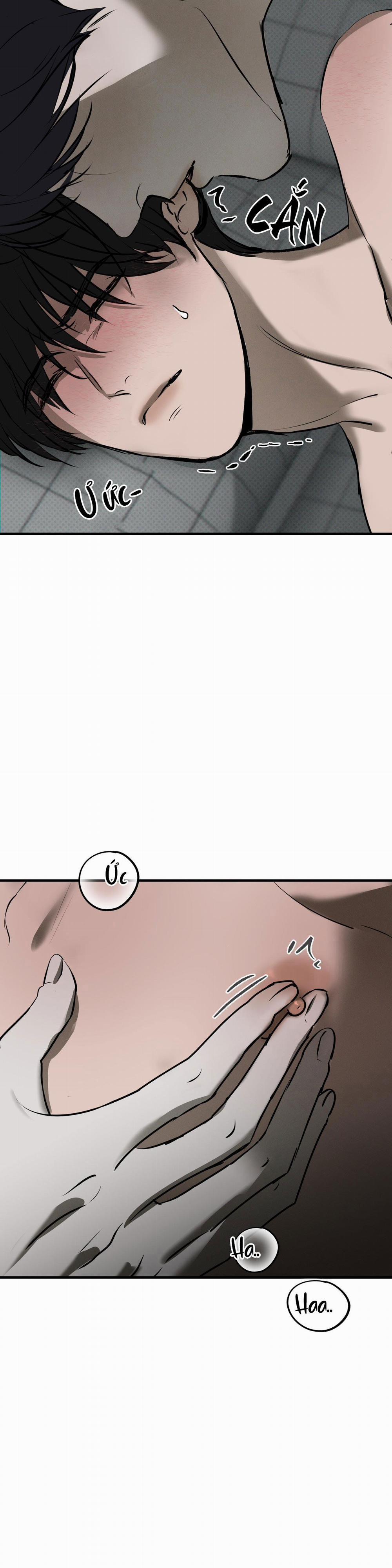 Risky Vice 10 trang 15