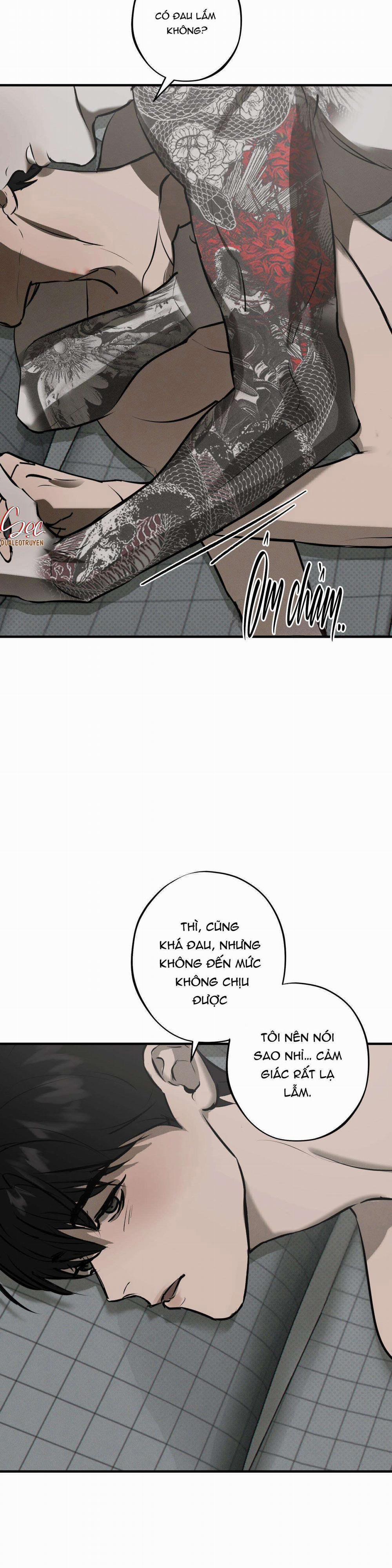 Risky Vice 11 trang 2