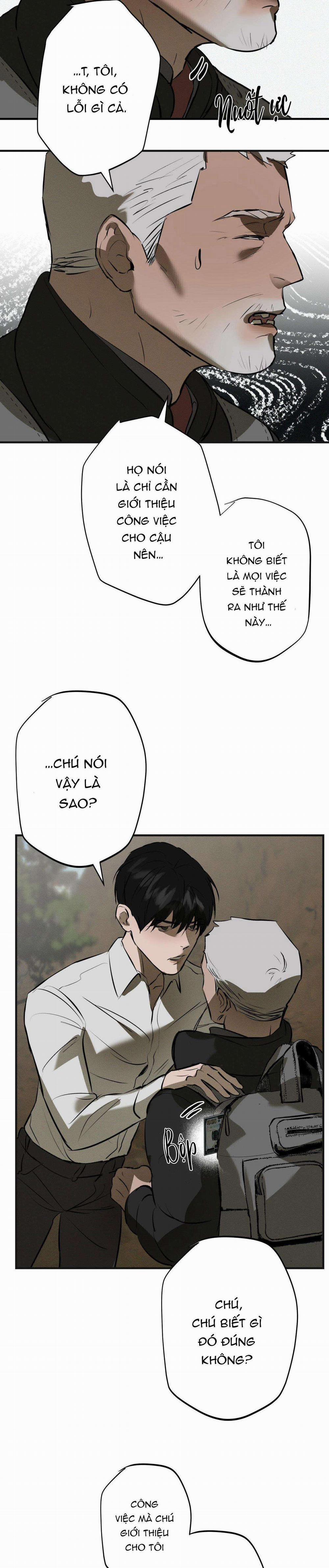 Risky Vice 12 trang 13