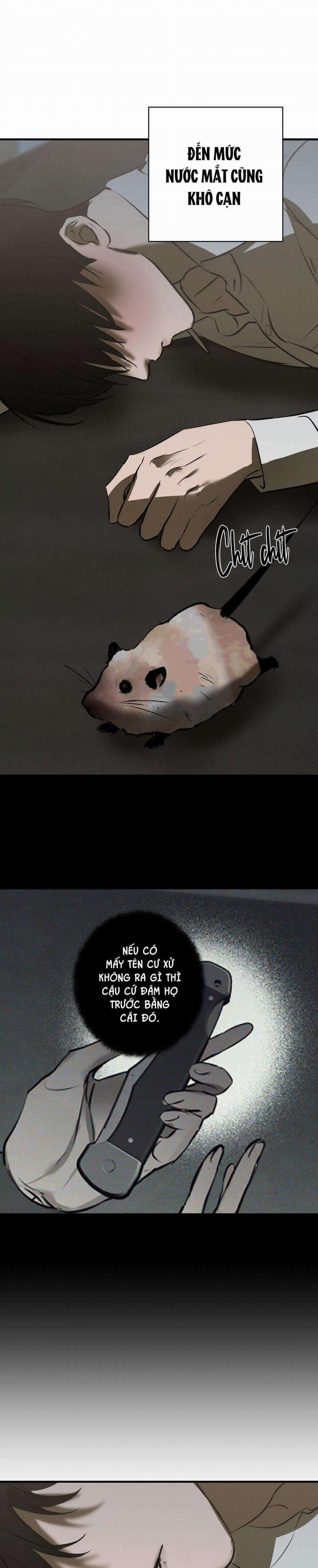 Risky Vice 12 trang 21