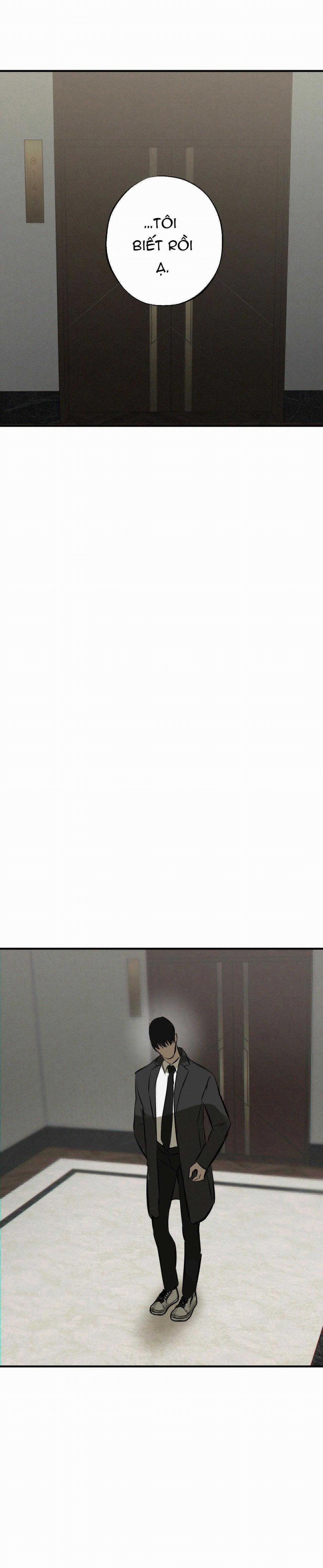 Risky Vice 22 trang 12