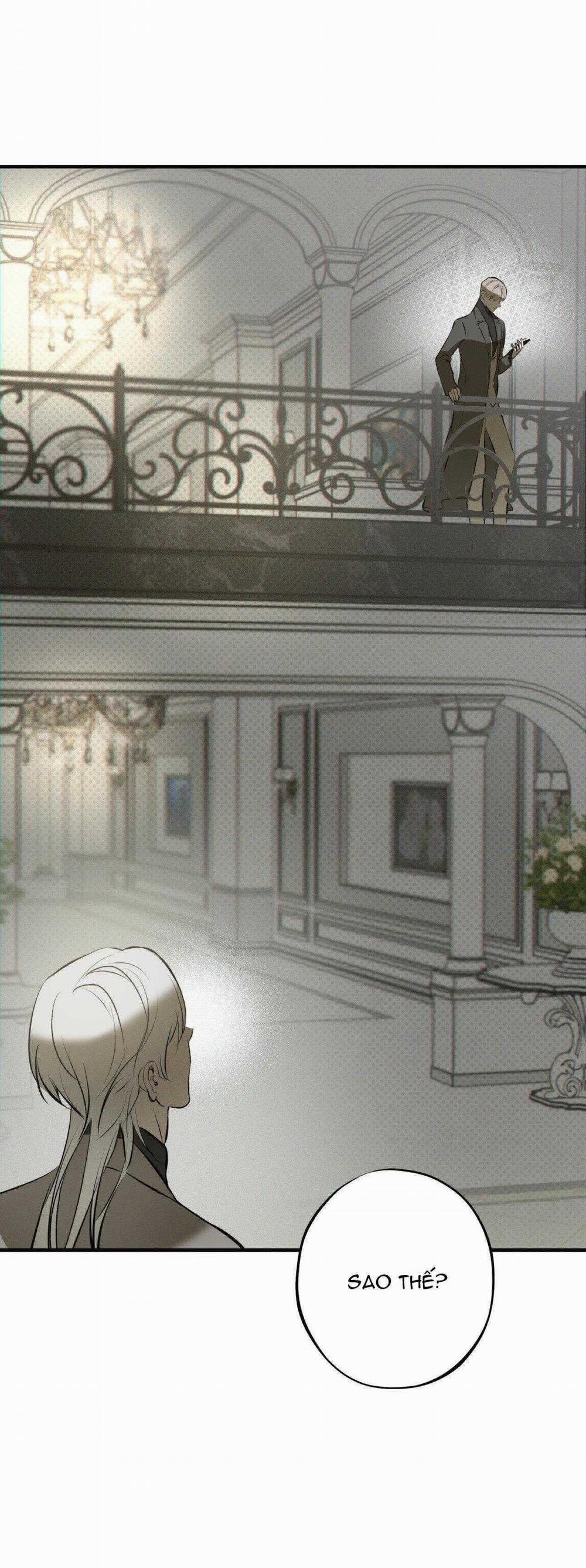 Risky Vice 24 trang 11