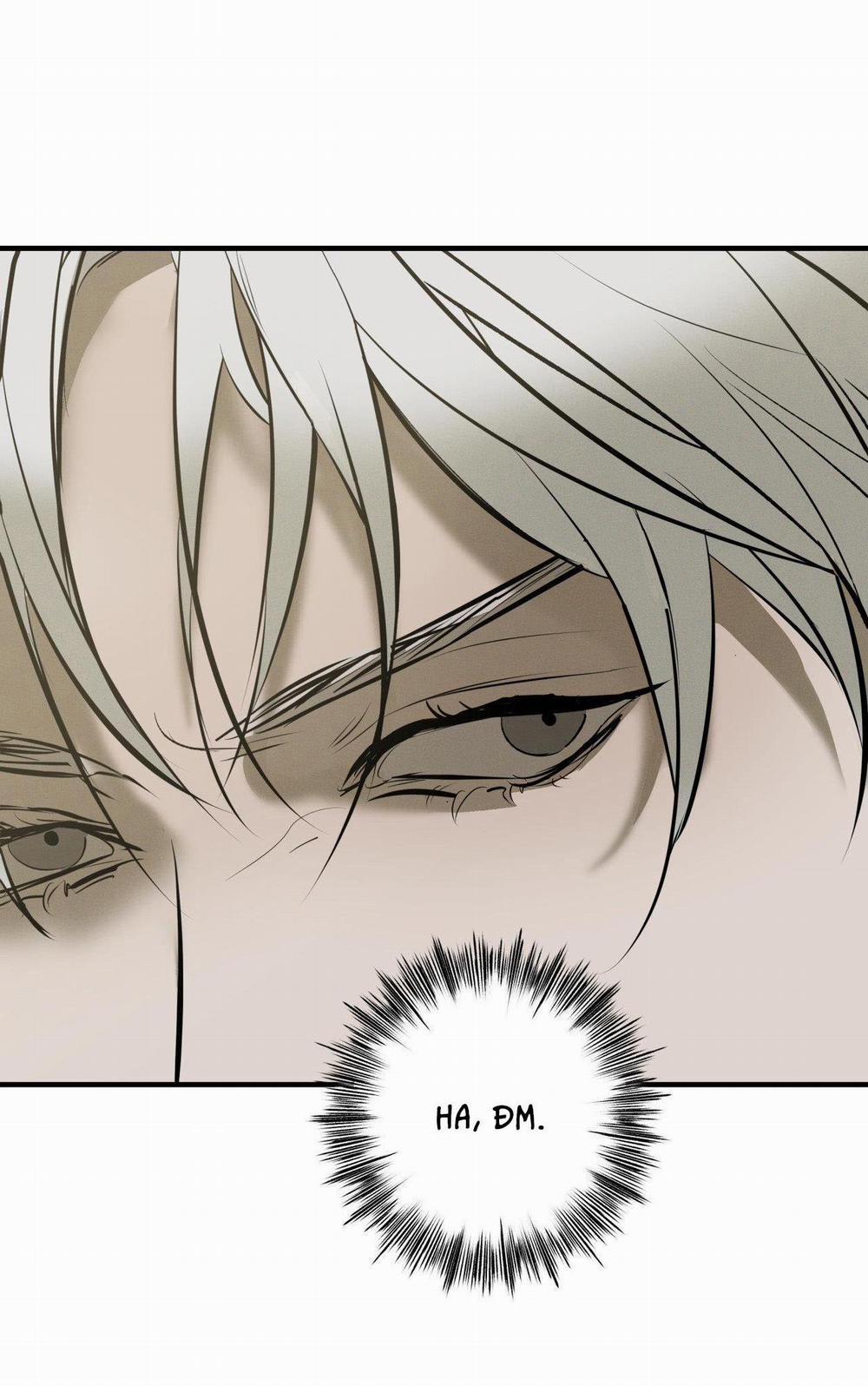 Risky Vice 25 trang 6